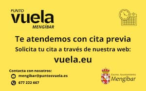 Solicitud cita Vuela Guadalinfo Mengíbar